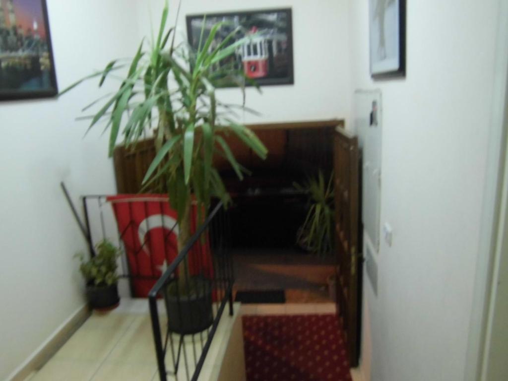 Cinar Hotel Antalya Exterior photo